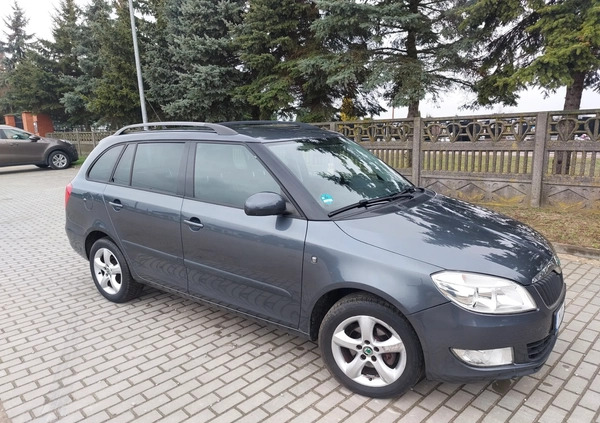 Skoda Fabia cena 14999 przebieg: 164000, rok produkcji 2010 z Płońsk małe 211